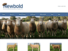 Tablet Screenshot of newboldstuds.com